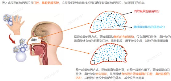 我國研發出“吸入式疫苗靶向給藥裝置”，實現藥劑全覆蓋