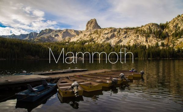 曝蘋果公司“Mammoth”商標獲得延期 或將用于macOS 13