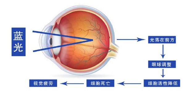 雙屏的電子墨水顯示器，你見過么？ 圖2