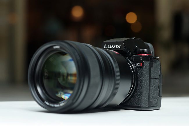 令人印象深刻的自動對焦性能，使用松下LUMIX S5M2拍攝寵物有感 圖2