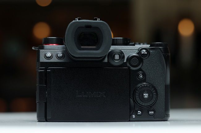 令人印象深刻的自動對焦性能，使用松下LUMIX S5M2拍攝寵物有感 圖3