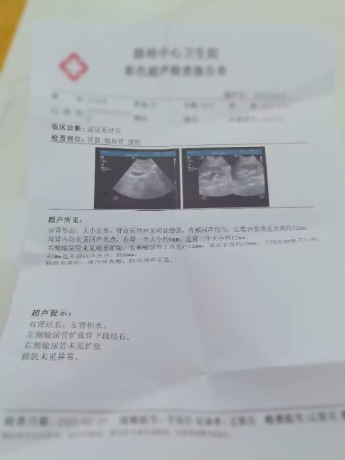 智診科技“好伴AI”助力患者成功脫險，AI健康咨詢技術獲醫療界關注