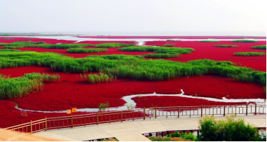 紅海灘國家風(fēng)景廊道景色 圖3